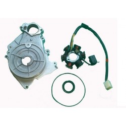 IGNIÇÃO + CARCAÇA 90 A 250