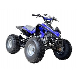 PLASTICOS QUAD MINI RAPTOR