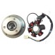 STATOR COMPLETO ATV