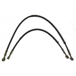 LATIGUILLOS ACEITE LARGOS