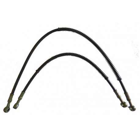LATIGUILLOS ACEITE LARGOS